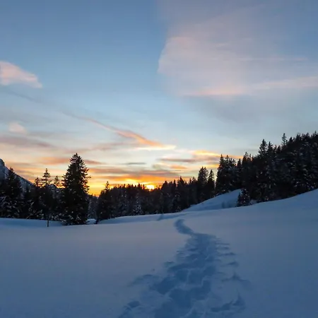 Tiptop By Interhome Les Diablerets